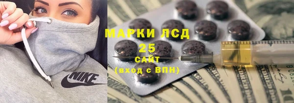 МДПВ Бородино