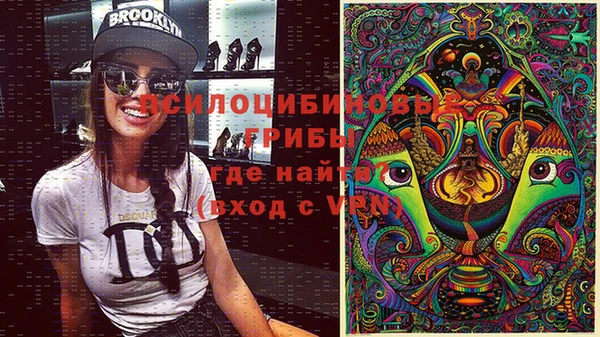 МДПВ Бородино