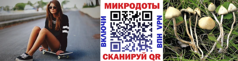 цена наркотик  Ессентукская  Псилоцибиновые грибы прущие грибы 